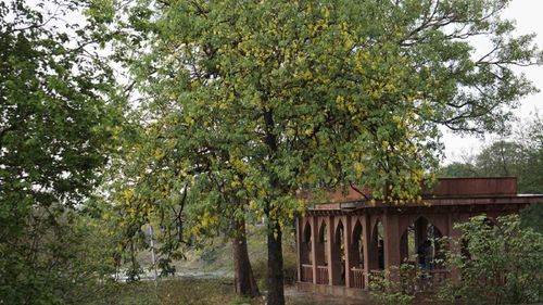 Famous Places To Visit In Ujjain 